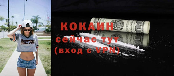 прущие грибы Богородск