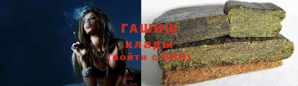 прущие грибы Богородск