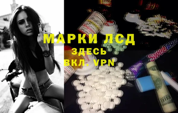 прущие грибы Богородск