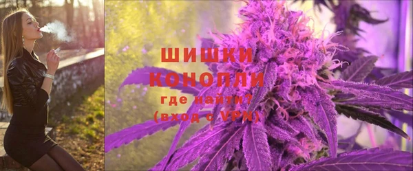 прущие грибы Богородск