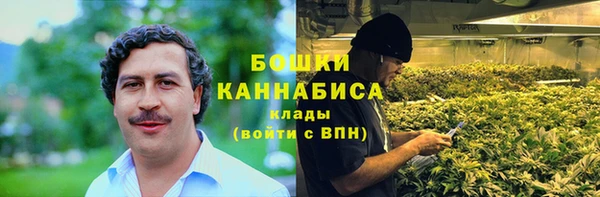 прущие грибы Богородск